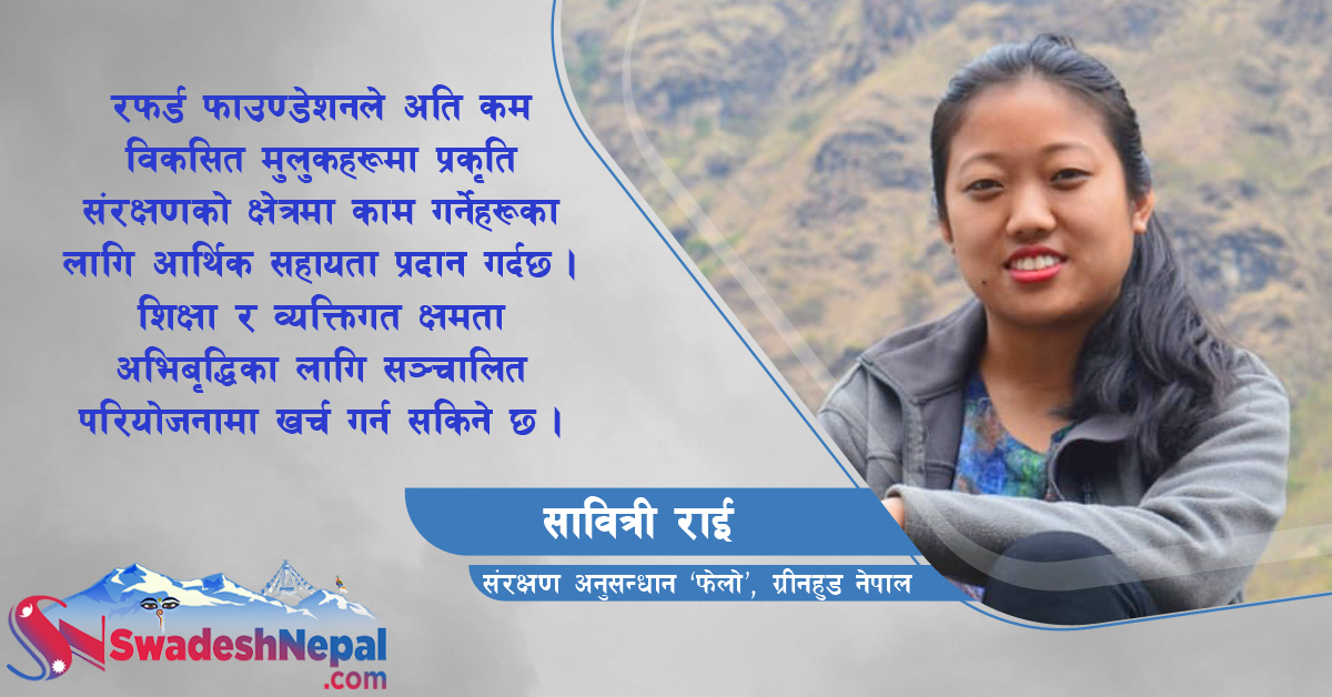बधाई! सावित्री राईलाई रफर्ड फाउण्डेशनको ९ लाख ९४ हजार अनुदान, रेडपाण्डा संरक्षणमा खर्च गरिने
