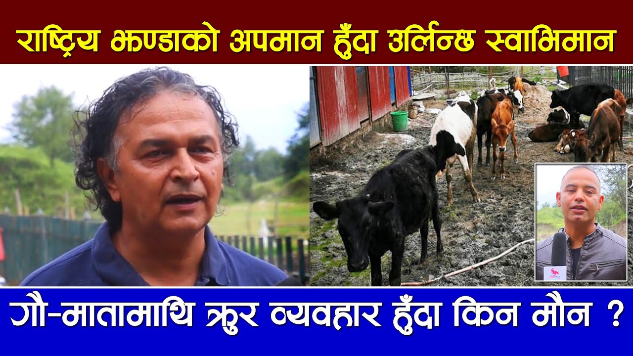 ‘गौ’ माता संरक्षक अभियन्ता पुडासैनी भन्छन् – राष्ट्रिय जनावरको अपमान हुँदा किन मौन ? (भिडियो)