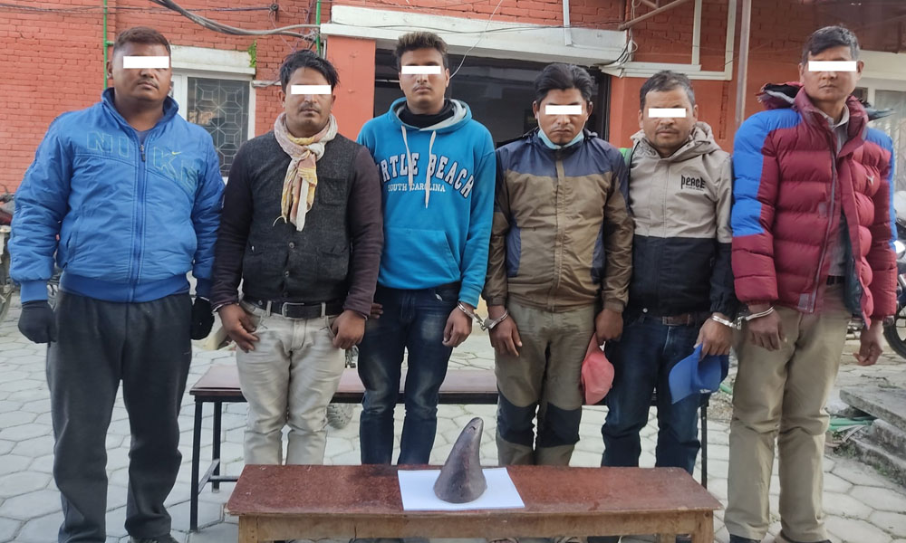 गैँडाको खागसहित ६ जना पक्राउ