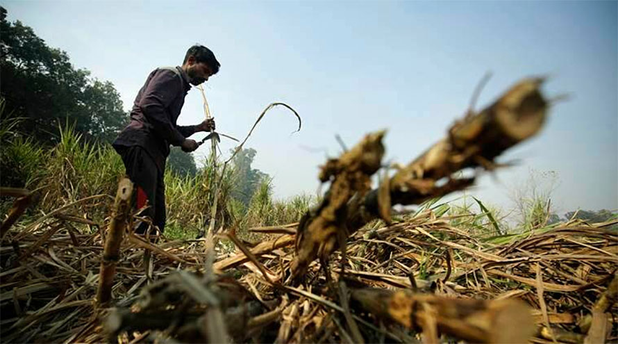 शंकास्पद दुई खाल्डा : एउटामा शव भेटियो, अर्को उत्खनन गरिंदै