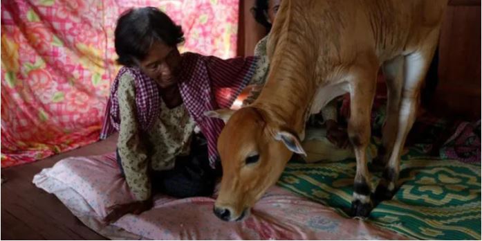 ७४ वर्षकी वृद्धाले गरिन् गोरुसँग बिहे, ओछ्यानमा समेत सँगै सुताउँछिन्- कारण थाहापाउँदा सबै चकित !