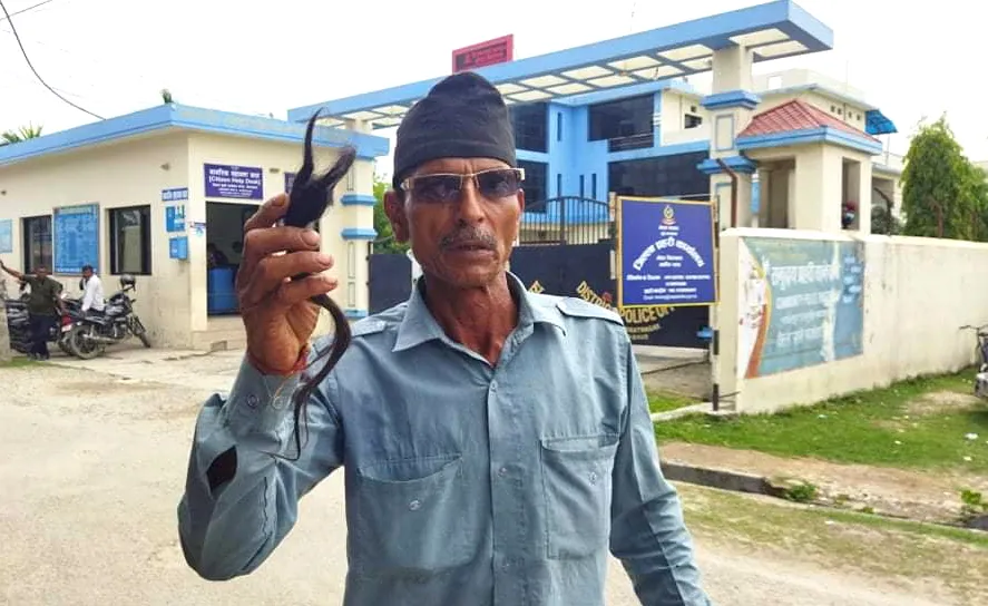 ४० वर्षदेखि पालेको टुप्पी चोरले काटेको भन्दै मनोज शर्माले दिए प्रहरीमा उजुरी