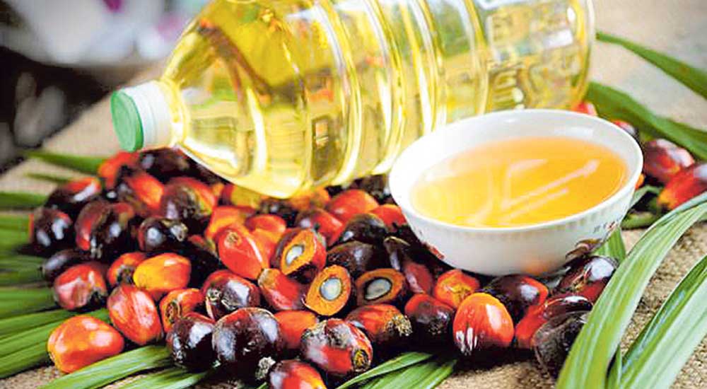 एक खर्ब १३ अर्बभन्दा बढीको कच्चा भटमास, पाम र सनफ्लावर तेल आयत, प्रशोधन गरी ९३ अर्बभन्दा बढीको निर्यात