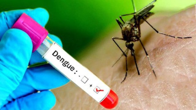 बङ्गलादेशमा डेङ्गु सङ्क्रमणबाट नौ जनाको मृत्यु