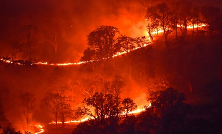 उत्तरी अल्जेरियाको जंगलमा विनाशकारी डढेलो, २६ जनाको मृत्यु