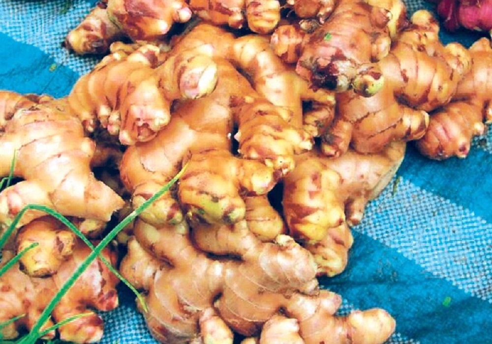 अदुवाको बीउमा दुई करोड भ्रष्ट्राचार !