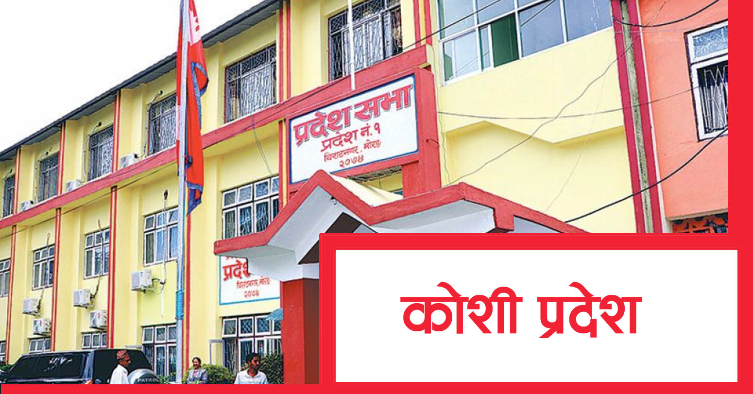 कोशीमा नयाँ सरकार गठनका लागि आह्वान, एमालेका कार्कीले मुख्यमन्त्रीको दाबी पेस गर्दै