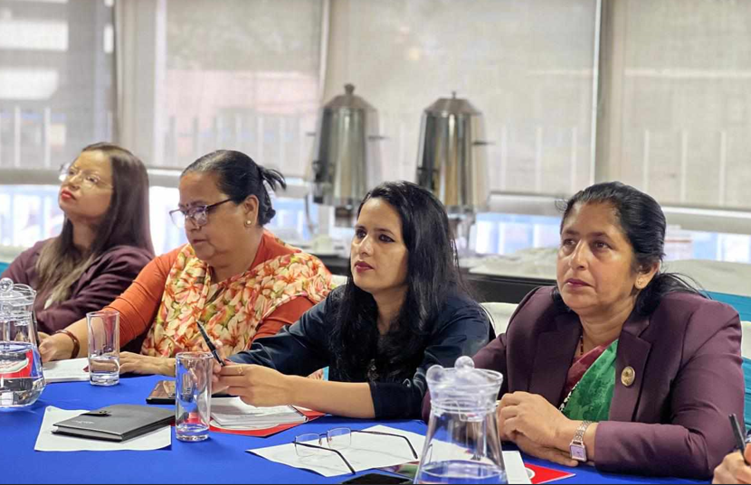 अग्निजन्य हिंसा र दुर्घटना न्यूनीकरणको विषय सरकारले प्राथमिकतामा नराखेको गुनासो