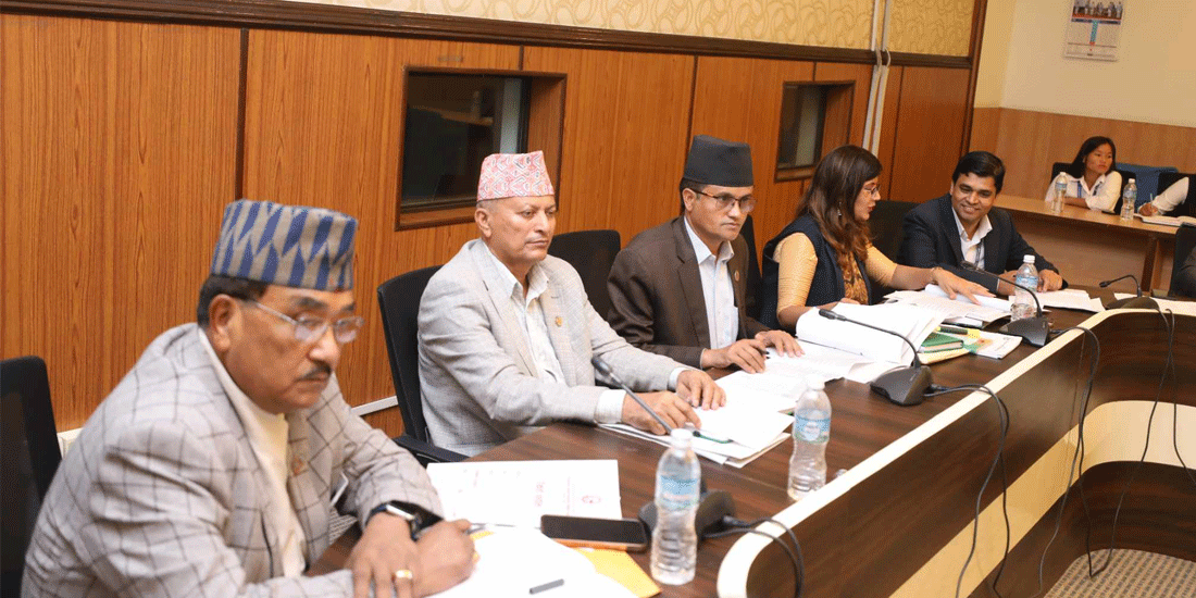 सहकारी बचत दुरुपयोग सम्बन्धी संसदीय छानबिन समितिले प्रधानमन्त्रीसँग छलफल गर्दै